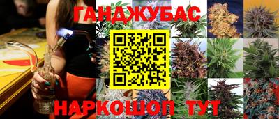 крисы Нальчик