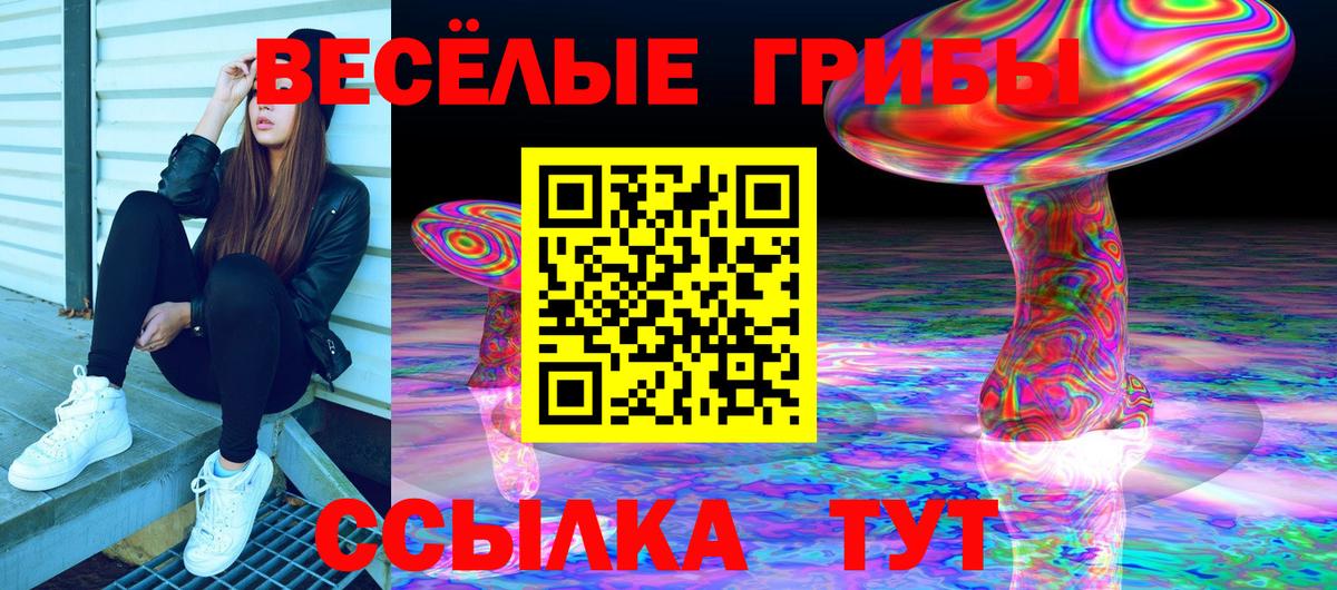 Хасавюрт  Псилоцибиновые грибы ЛСД  Галлюциногенные грибы ЛСД  Вход с VPN 